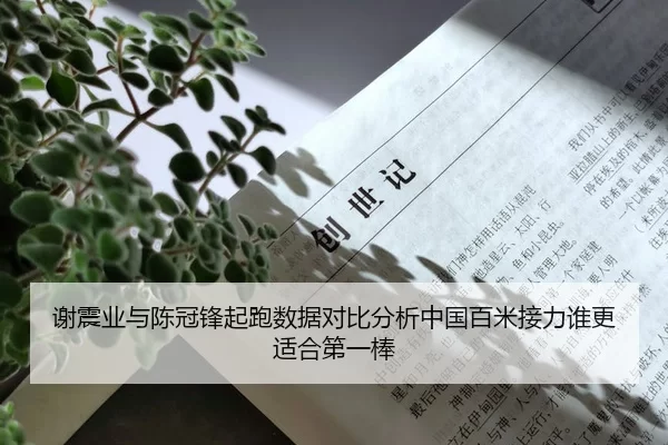 谢震业与陈冠锋起跑数据对比分析中国百米接力谁更适合第一棒